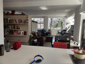 Espectacular loft avenida juarez alameda central